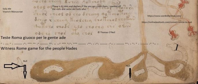 f49v Serpents in the Garden.JPG